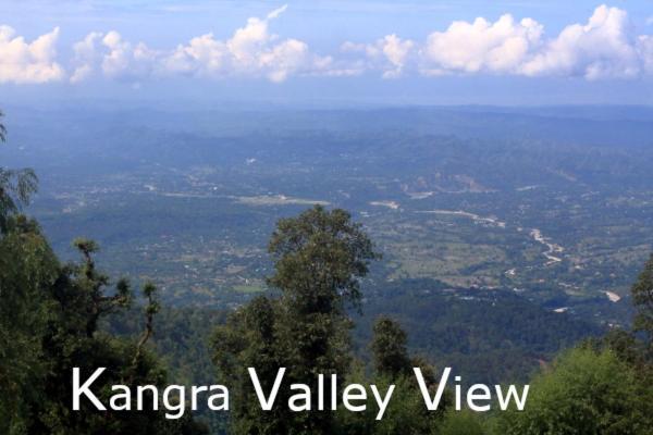 Himalayan Homestay 다람샬라 외부 사진